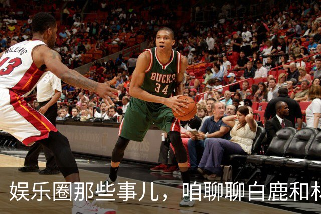 娱乐圈那些事儿，咱聊聊白鹿和林彦俊的八卦！